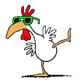chicken