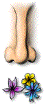 a smelling dog nose